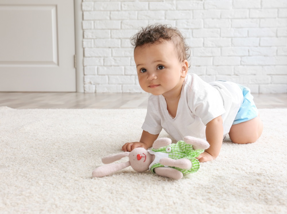 Why Regular Carpet Cleaning is Essential for a Healthy Home