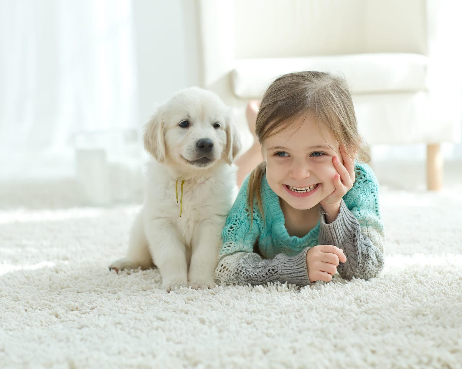 Pet Stain & Odor Removal