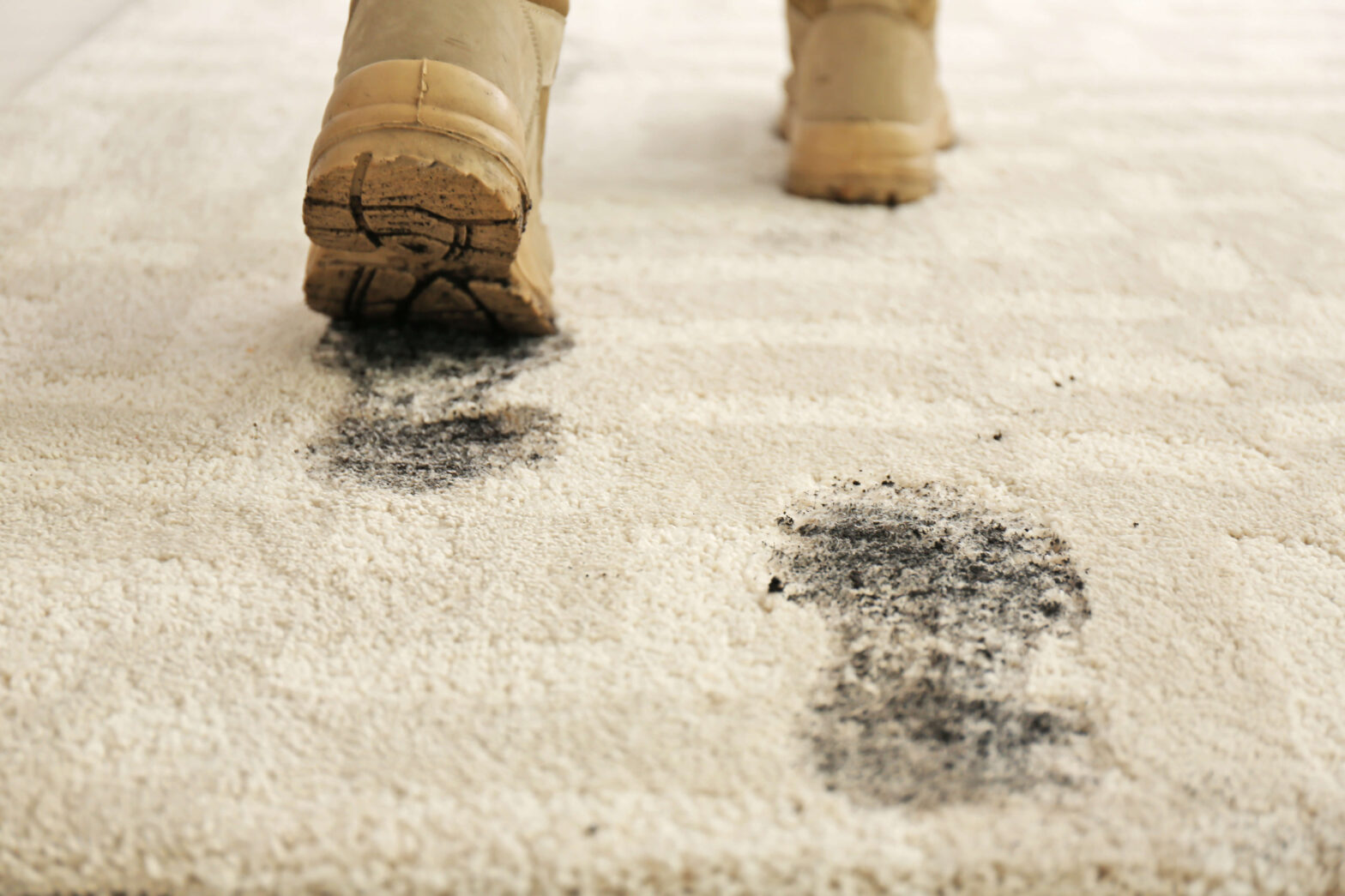 How to Prevent High-Traffic Carpet Wear in Your Home: Expert Tips from LocalPro Carpet Cleaning