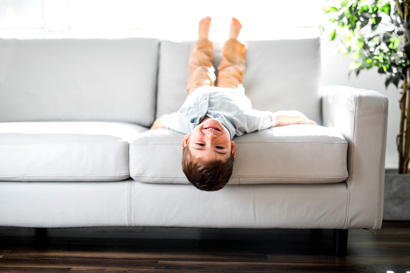 How Long Does Upholstery Take to Dry in Knoxville Tennessee
