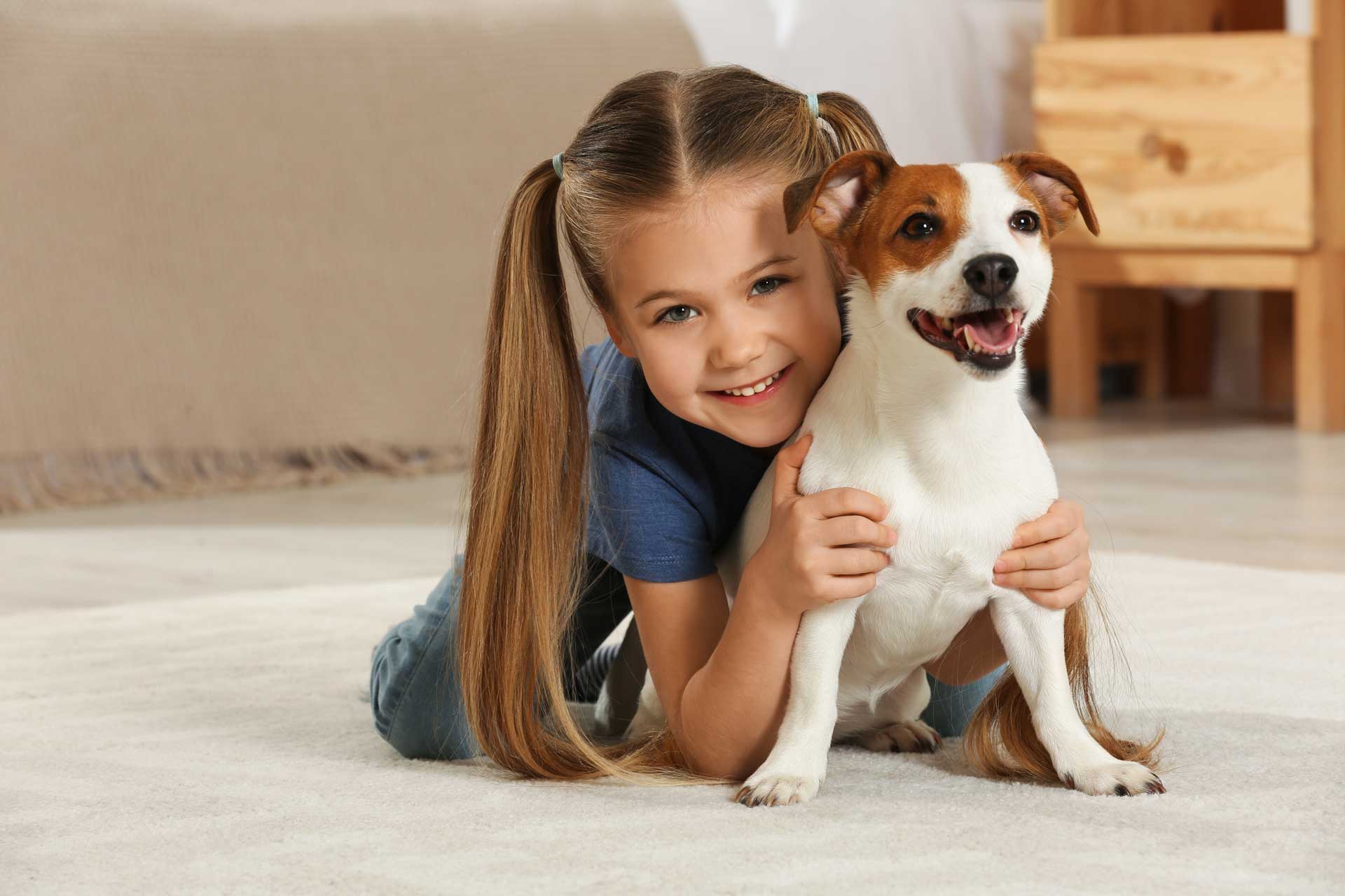 Pet stain and odor removal