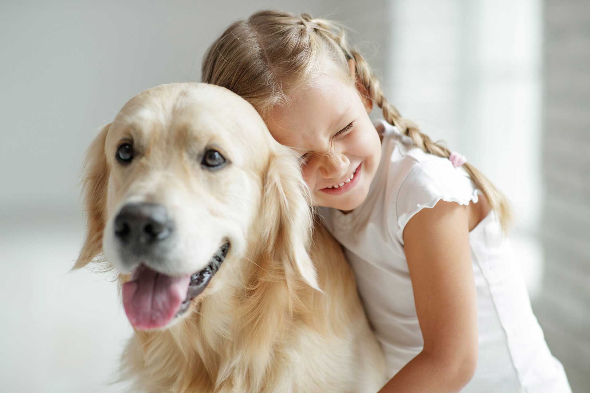 Pet stain and odor neutralization
