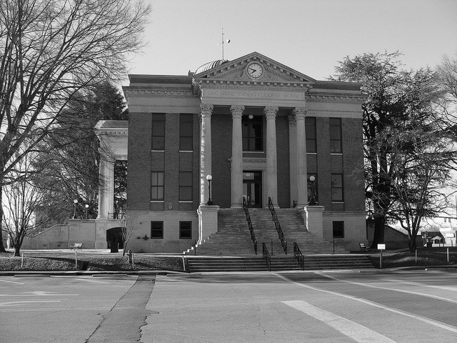 Professional Carpet, Rug & Upholstery Cleaning in Athens, AL