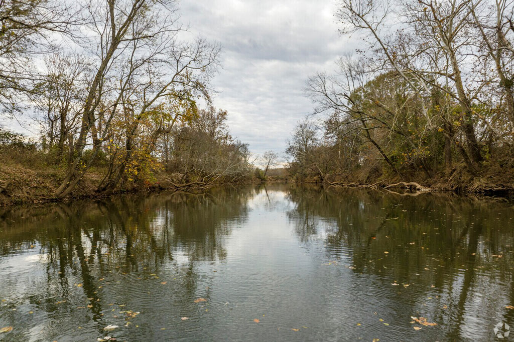 Professional Carpet, Rug & Upholstery Cleaning in Gurley, AL
