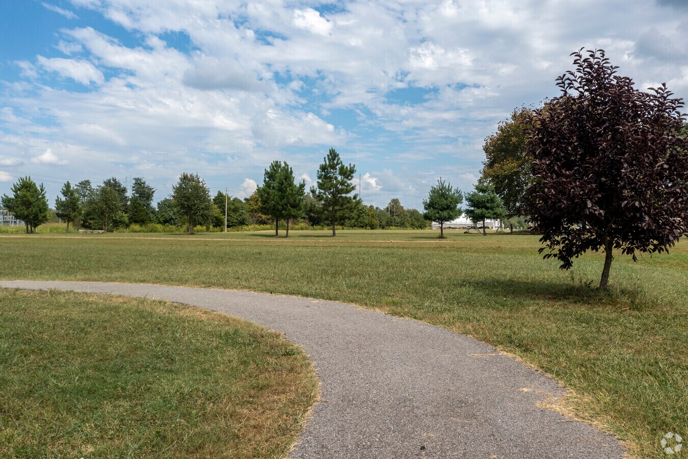 Professional Carpet, Rug & Upholstery Cleaning in Hazel Green, AL