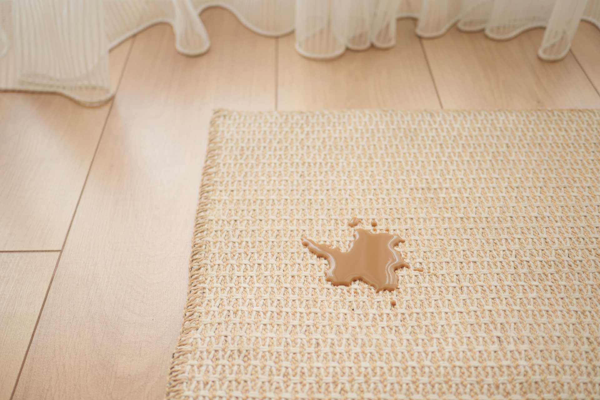 Carpet and upholstery protectant