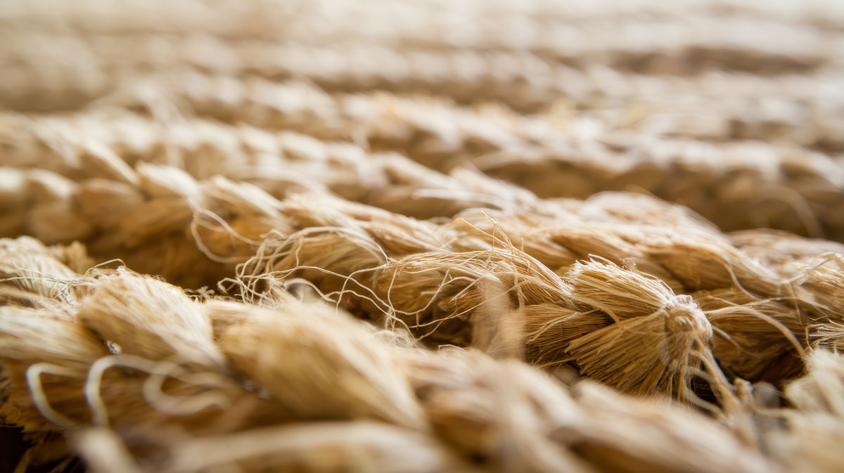 Carpet & fabric protectant