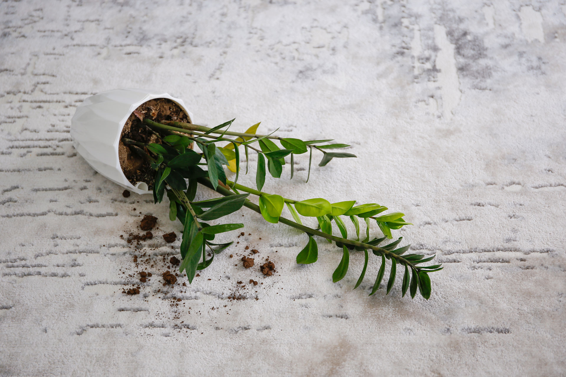 Deep soil and red clay removal