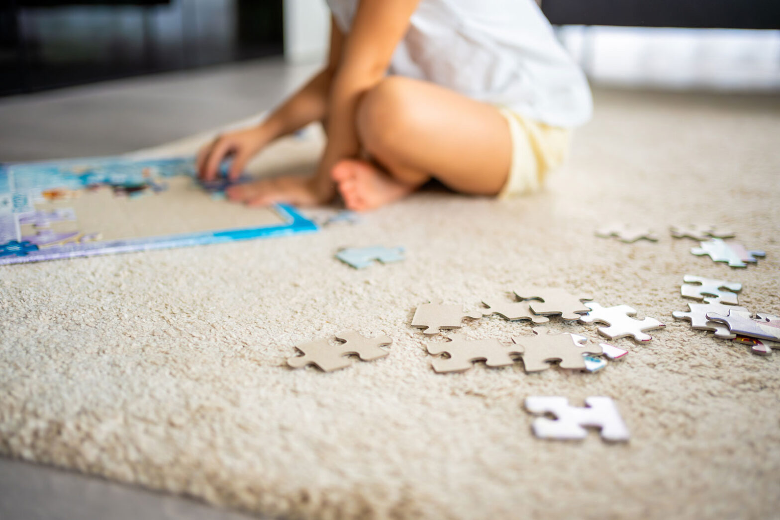 Carpet Care Tips for High-Traffic Homes in Charlotte, North Carolina